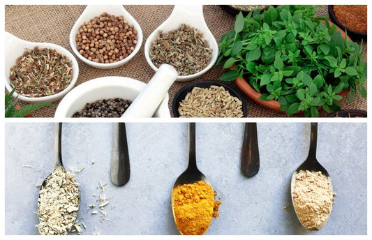 Top Adrenal Support Supplements