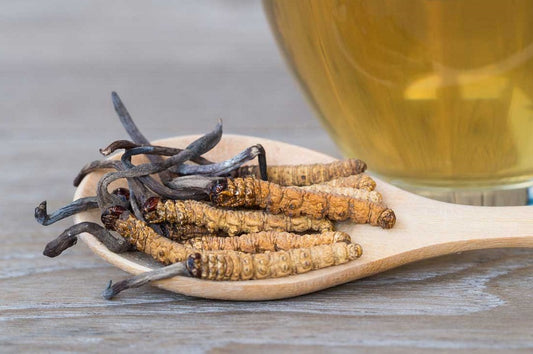 How Cordyceps Can Improve Your Athletic Performance